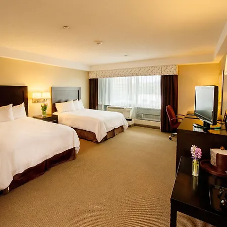 Hampton Inn & Suites Boston Crosstown Center-3